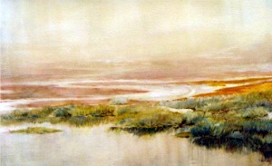 Marsh 2