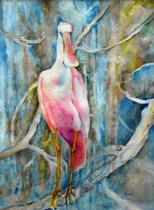 spoonbill (c)