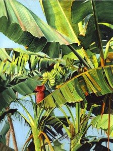 Banana Tree Goa-c