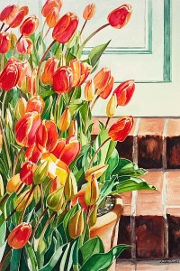 Tulips-Linda Curtis