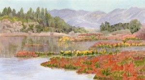 Slough in Bloom 11x21 - Version 2