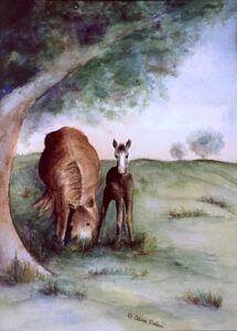 Mare & Foal