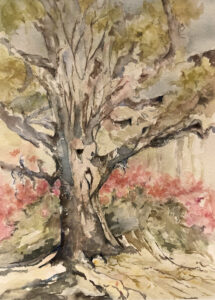 Azaleas with Cousins:City Park copy