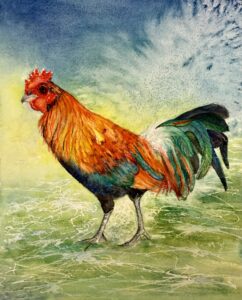 Hawiian Rooster (O.S.)