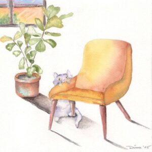 CatAndChair