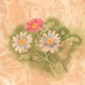 Daisies