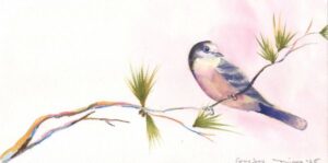 Greyjay