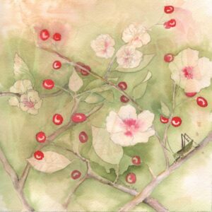 Hawthorn
