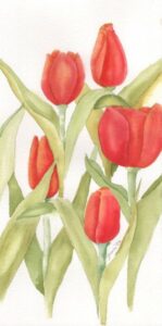 RedTulips