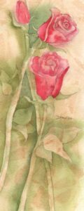 Roses